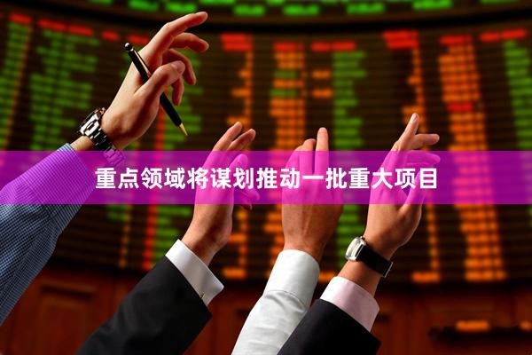 重点领域将谋划推动一批重大项目