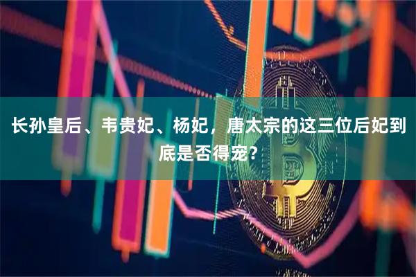 长孙皇后、韦贵妃、杨妃，唐太宗的这三位后妃到底是否得宠？