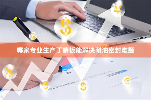 哪家专业生产丁晴板能解决耐油密封难题