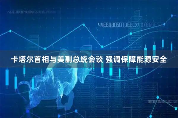 卡塔尔首相与美副总统会谈 强调保障能源安全